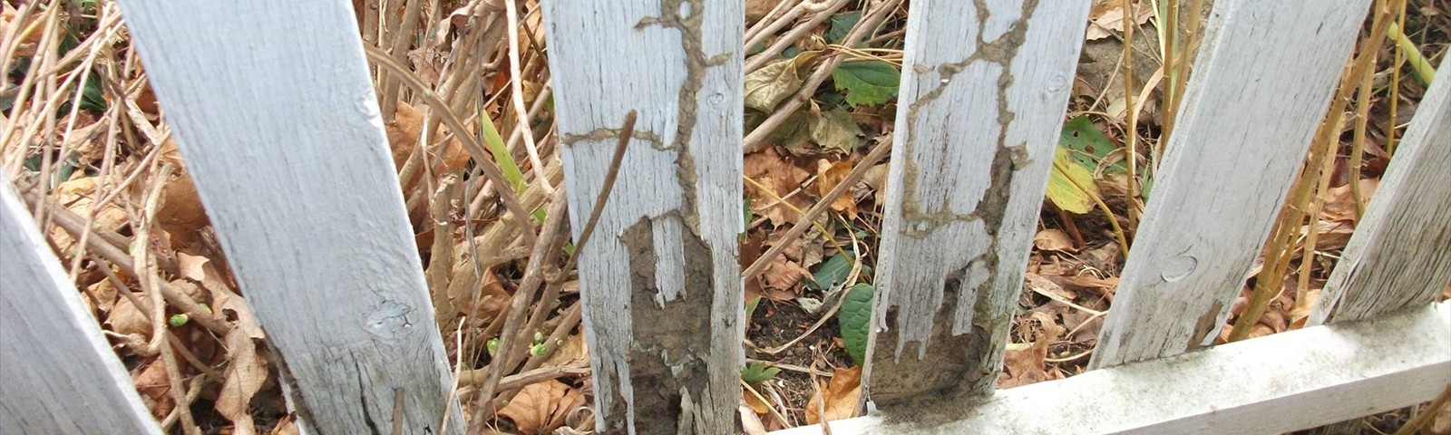 East End Exterminating